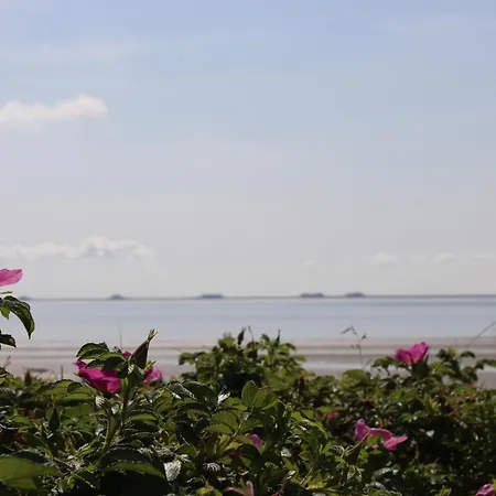 Apartment Parkstrasse -whg1